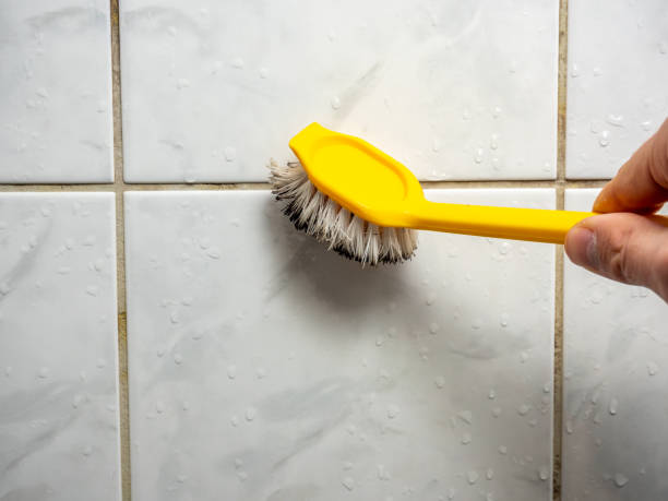Best Mold Remediation  in Beverly, OH