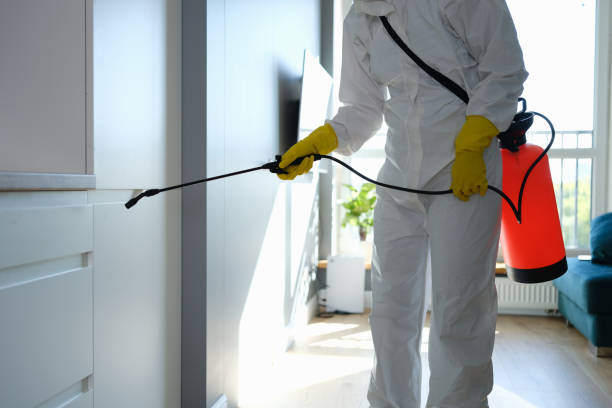 Office Mold Removal Services in Beverly, OH